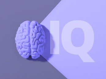 IQ